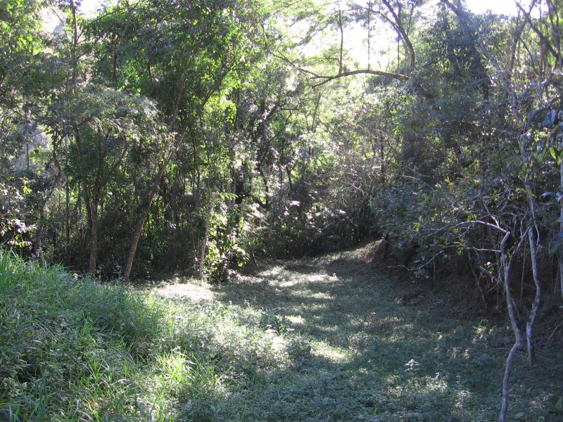 Terreno à venda Centro com 101751m² e 1 quarto por R$ 550.000 - 1752755036-img-1666-2.JPG