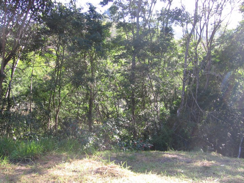 Terreno à venda Centro com 101751m² e 1 quarto por R$ 550.000 - 1865943033-img-1654.JPG