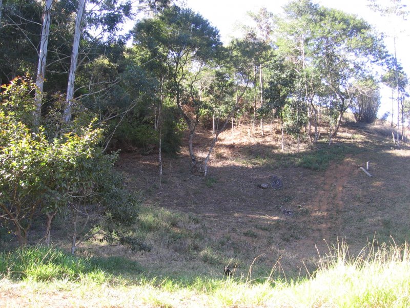 Terreno à venda Centro com 101751m² e 1 quarto por R$ 550.000 - 306178421-img-1662-3.JPG