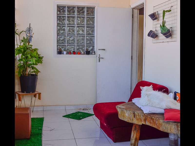 Casa à venda Jardim Alvorada (Zona Oeste) com 252m² e 3 quartos por R$ 550.000 - 216145764-dsc1758.jpg