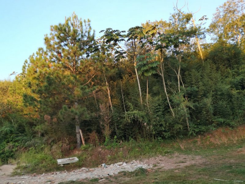 Terreno à venda Vila Barros com 2500m² e 1 quarto por R$ 200.000 - 832189016-img-20190712-wa0008.jpg