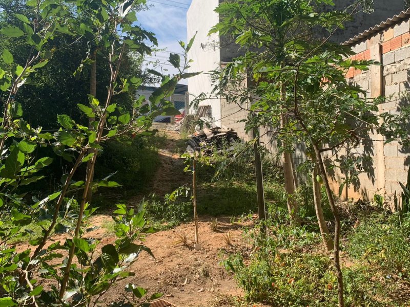 Terreno à venda Chácaras Cangueirinha com 725m² e 1 quarto por R$ 650.000 - 1010970496-whatsapp-image-2021-12-13-at-11.jpeg