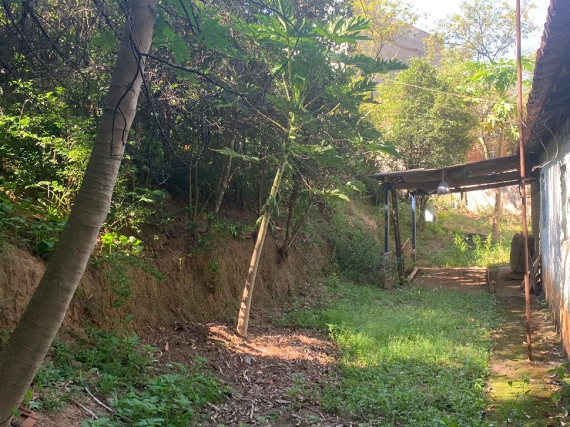 Terreno à venda Chácaras Cangueirinha com 725m² e 1 quarto por R$ 650.000 - 1364055486-whatsapp-image-2021-12-13-at-11.jpeg