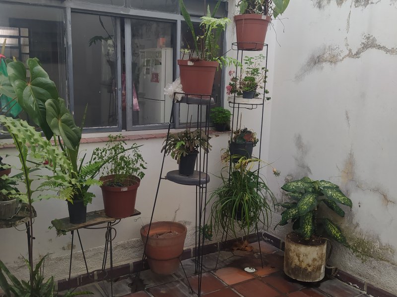 Casa à venda Tremembé com 364m² e 3 quartos por R$ 800.000 - 1220229970-img-20220724-135119.jpg