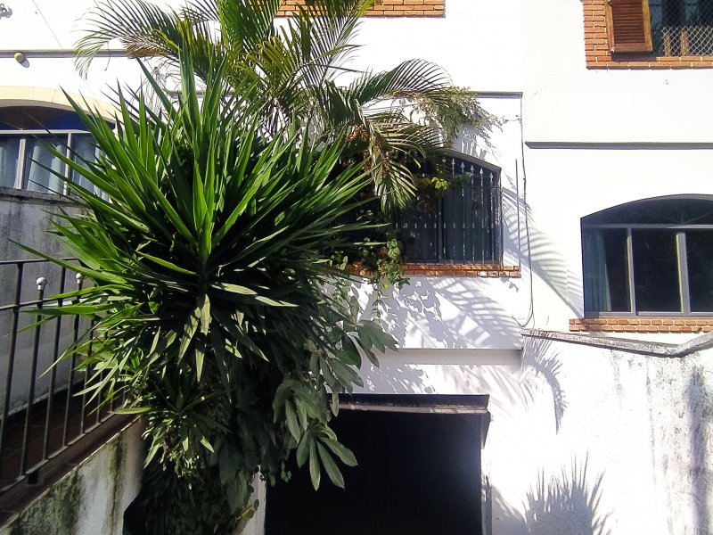 Casa à venda Tremembé com 364m² e 3 quartos por R$ 800.000 - 186893096-img-20220724-134713.jpg