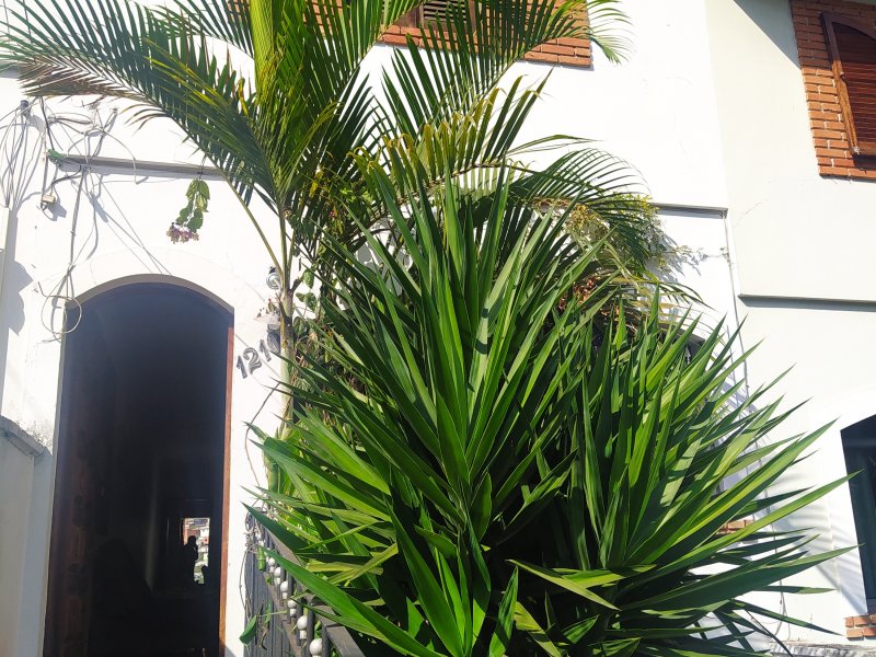 Casa à venda Tremembé com 364m² e 3 quartos por R$ 800.000 - 290436413-img-20220724-134700.jpg