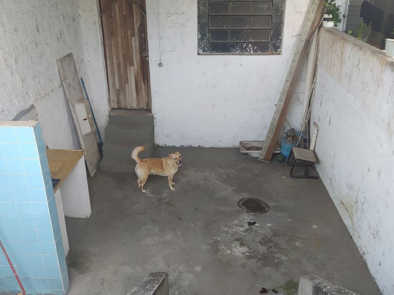 Casa à venda Tremembé com 364m² e 3 quartos por R$ 800.000 - 853037186-img-20220724-134955.jpg