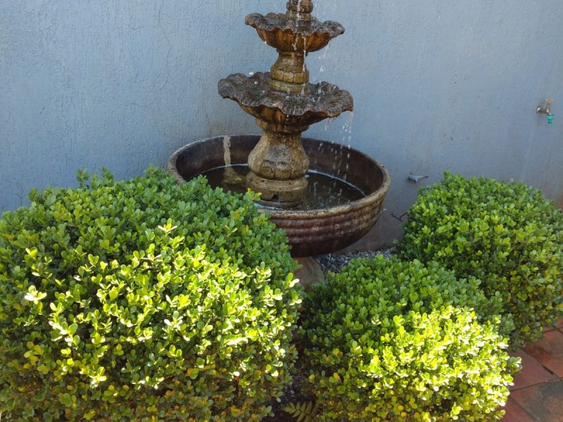 Casa à venda Quitandinha com 300m² e 6 quartos por R$ 1.900.000 - 105410594-img-20220820-wa0053.jpg