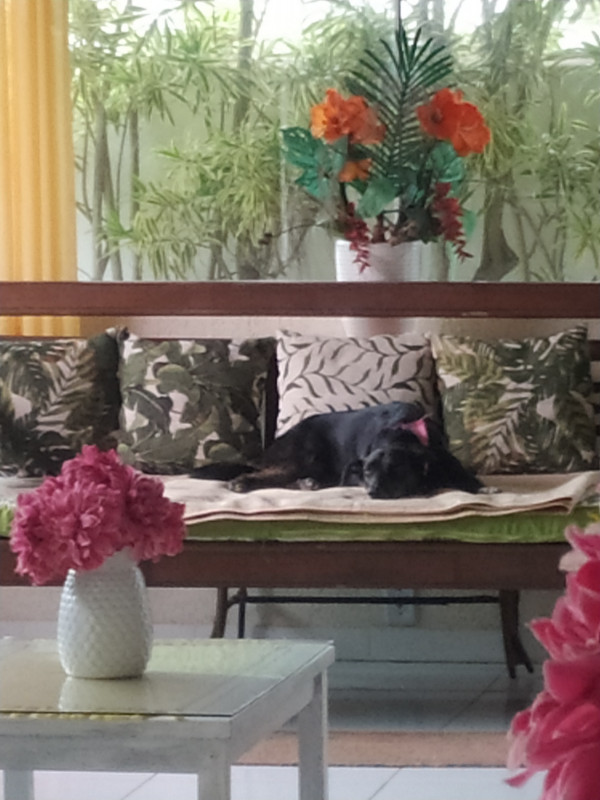 Casa de condomínio à venda Centro com 976m² e 8 quartos por R$ 10.750.000 - 1026281684-img-20230216-100850.jpg