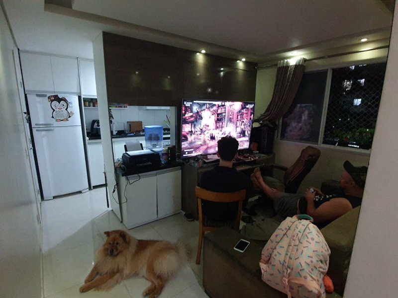 Apartamento à venda Cocaia com 45m² e 2 quartos por R$ 251.000 - 409603006-whatsapp-image-2022-06-09-at-00.jpeg