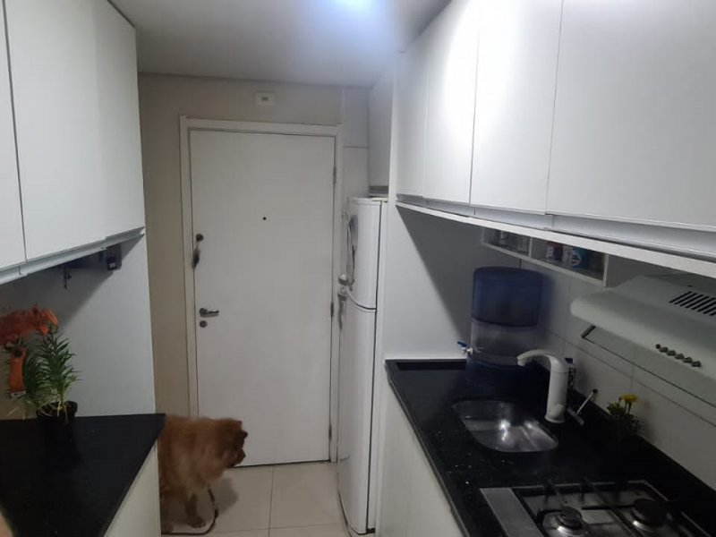 Apartamento à venda Cocaia com 45m² e 2 quartos por R$ 251.000 - 563983914-whatsapp-image-2022-06-09-at-00.jpeg