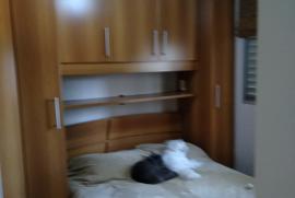 Apartamento à venda Jardim Umarizal com 42m² - 2 dormitórios -  vagas - R$ 260.000 - 395695982-p-20200310-115121.jpg