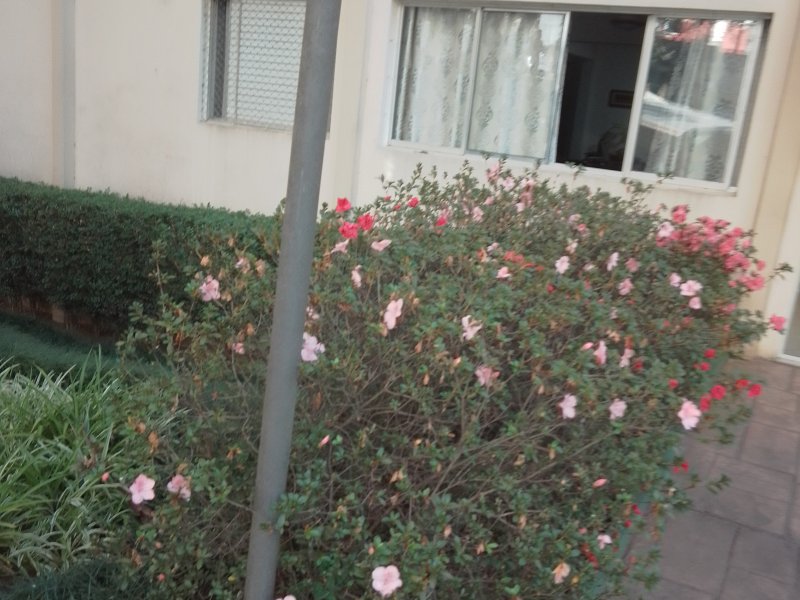 Apartamento à venda Jardim Taquaral com 65m² e 3 quartos por R$ 375.000 - 1944643224-img-20220630-142410-502.jpg