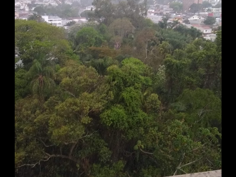 Apartamento à venda Vila Oliveira com 90m² e 3 quartos por R$ 525.000 - 2112430433-vista-escritorio.PNG