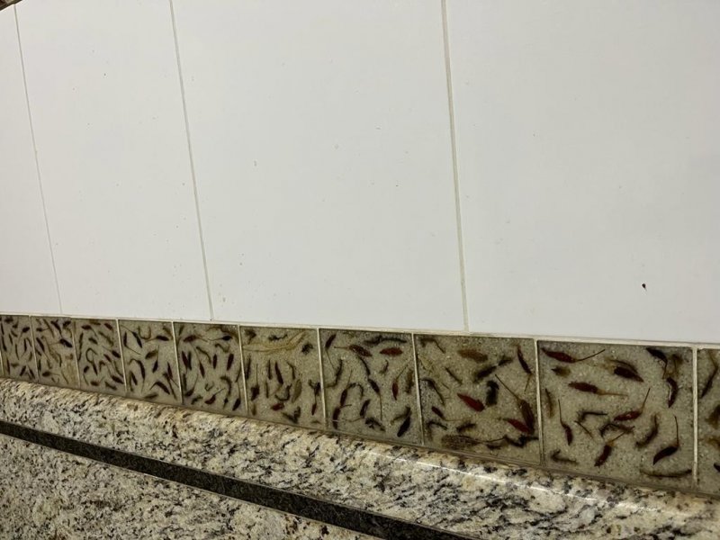 Casa de condomínio à venda Parque Villa Flores com 114m² e 2 quartos por R$ 400.000 - 1175456951-whatsapp-image-2022-08-24-at-09.jpeg