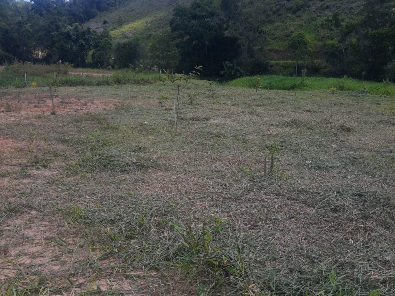 Sítio à venda Centro com 3500m² e 2 quartos por R$ 340.000 - 1015841416-img-20220416-wa0077.jpg