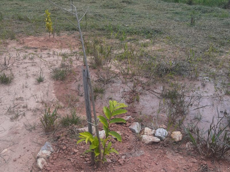 Sítio à venda Centro com 3500m² e 2 quartos por R$ 340.000 - 1138919445-img-20220416-wa0078.jpg