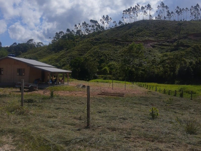 Sítio à venda Centro com 3500m² e 2 quartos por R$ 340.000 - 1506663375-img-20220416-wa0046.jpg