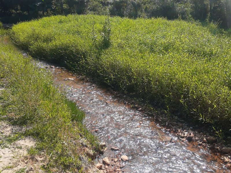 Sítio à venda Centro com 3500m² e 2 quartos por R$ 340.000 - 1666372917-img-20220416-wa0065.jpg