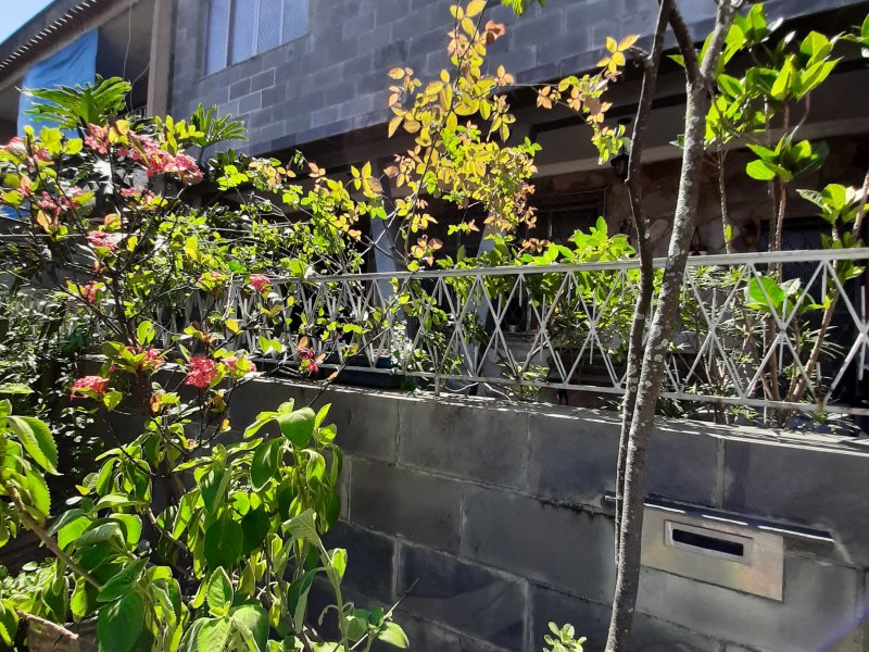 Casa à venda Portuguesa com 184m² e 4 quartos por R$ 665.000 - 947253284-20211105-133755.jpg