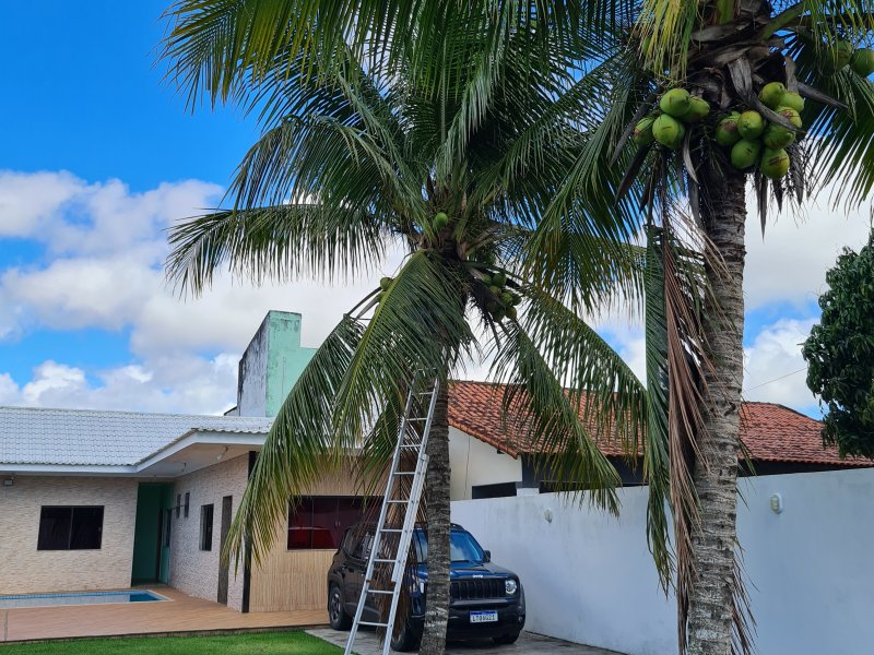 Casa à venda Parati com 450m² e 3 quartos por R$ 490.000 - 249539953-20211209-084308.jpg