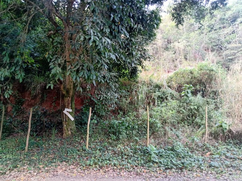 Terreno à venda Jacaroa  com 360m² e 1 quarto por R$ 55.000 - 1255496211-img-20220828-wa0010.jpg