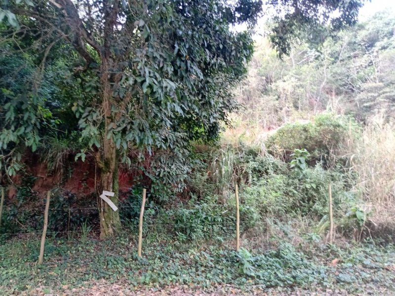 Terreno à venda Jacaroa  com 360m² e 1 quarto por R$ 55.000 - 1352709761-img-20220828-wa0011.jpg