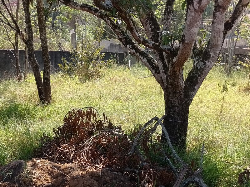 Terreno à venda Chácaras Santa Maria com 1050m² e 1 quarto por R$ 150.000 - 1262146359-img-20220828-111125.jpg