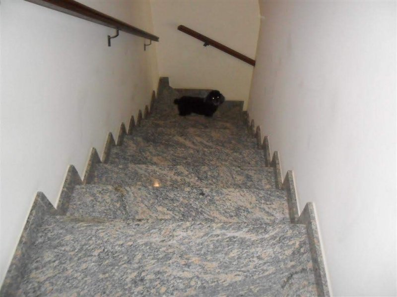 Casa de condomínio à venda Jardim Cocaia com 102m² e 2 quartos por R$ 550.000 - 442544790-foto-31.JPG