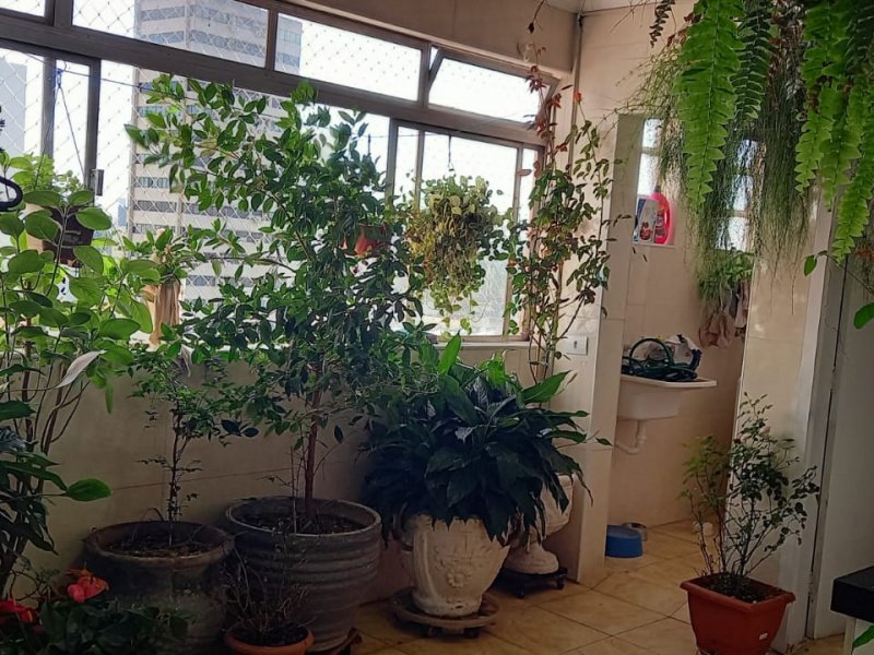 Apartamento à venda Centro com 130m² e 3 quartos por R$ 480.000 - 1533662412-img-20220518-wa0058.jpg