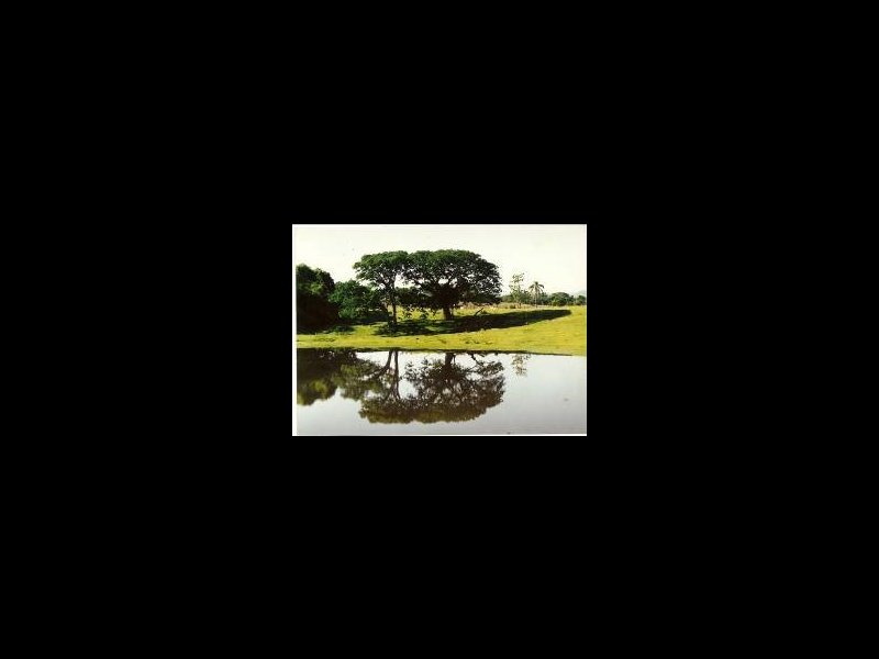 Fazenda à venda Cadiz com 823710m² e 10 quartos por R$ 16.500.000 - 480982002-fazenda-timbauva2.jpg