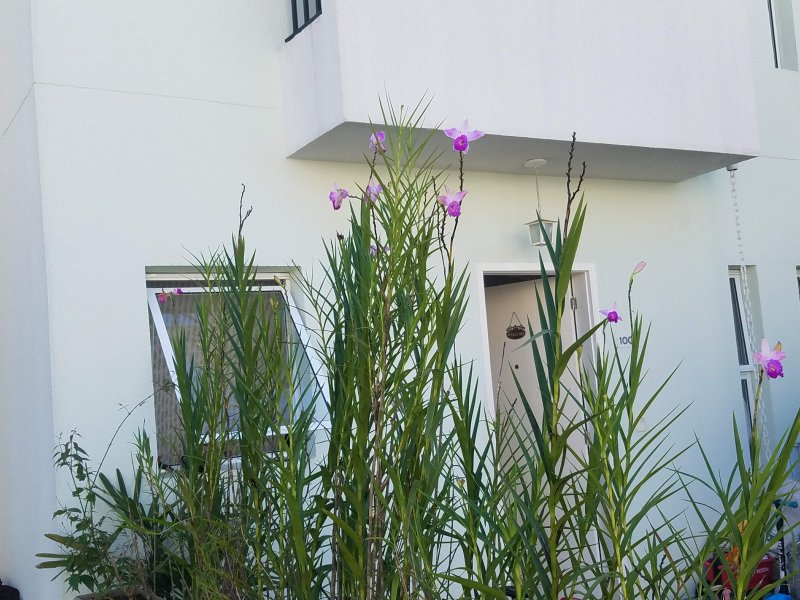 Casa de condomínio à venda Paisagem Renoir com 90m² e 3 quartos por R$ 570.000 - 503679777-20190428-094854.jpg