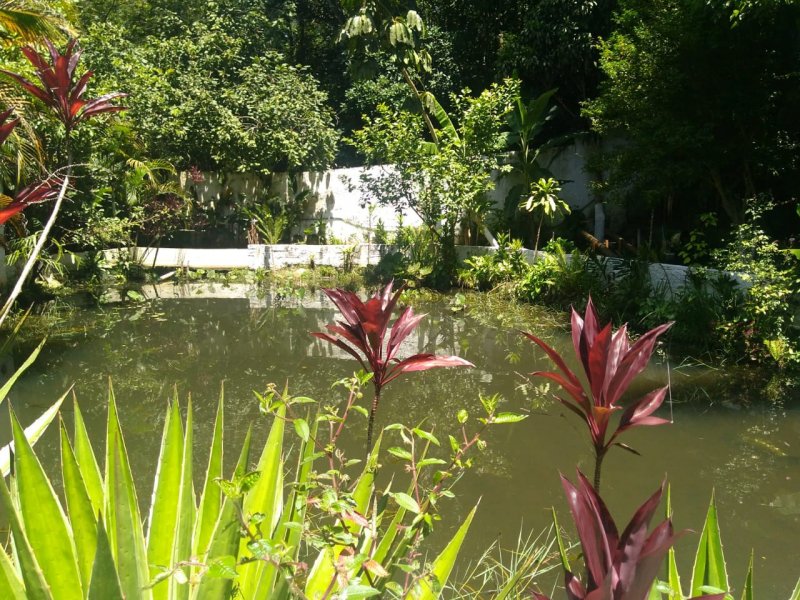 Chácara à venda Chácara Estância Paulista com 3000m² e 9 quartos por R$ 750.000 - 1195828346-whatsapp-image-2022-08-29-at-15.jpeg