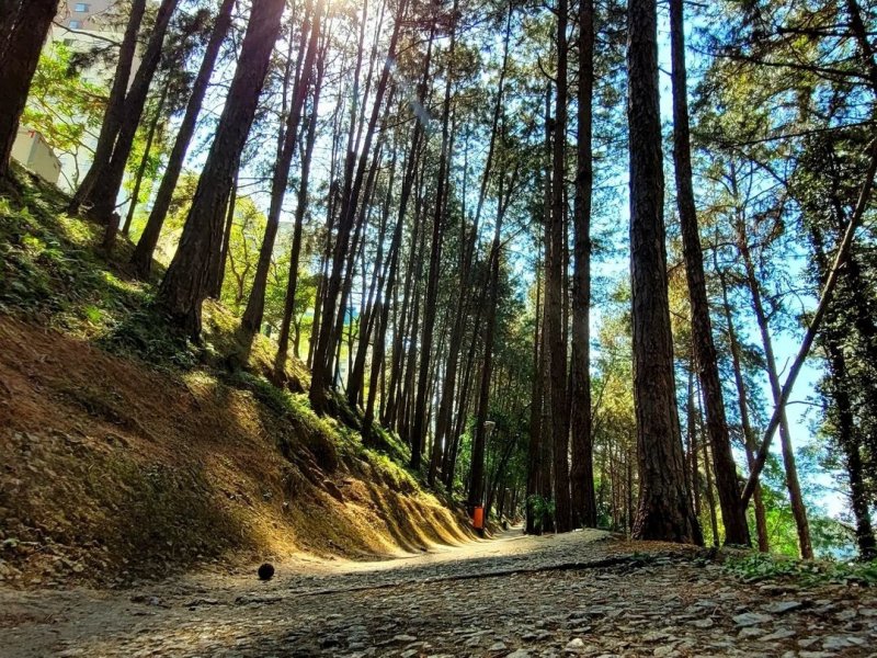 Apartamento à venda Santa Terezinha com 50m² e 2 quartos por R$ 289.999 - 1608802157-screenshot-20220830-182541-instagram.jpg