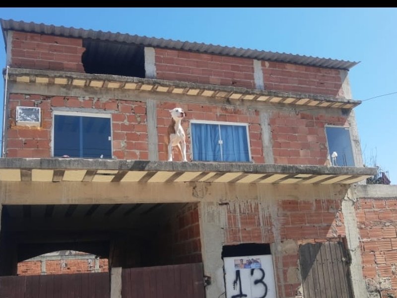 Casa à venda Santa Cruz com 25m² e 3 quartos por R$ 170.000 - 650964324-smartselect-20220902-132819-gbwhatsapp.jpg