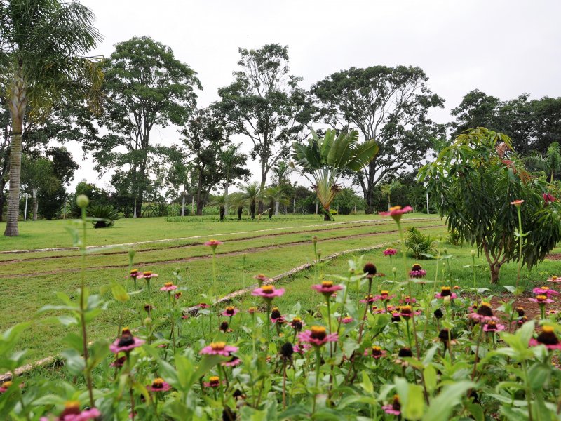 Chácara à venda Santa Clara com 9850m² e 4 quartos por R$ 2.800.000 - 645467450-dsc-3182.JPG