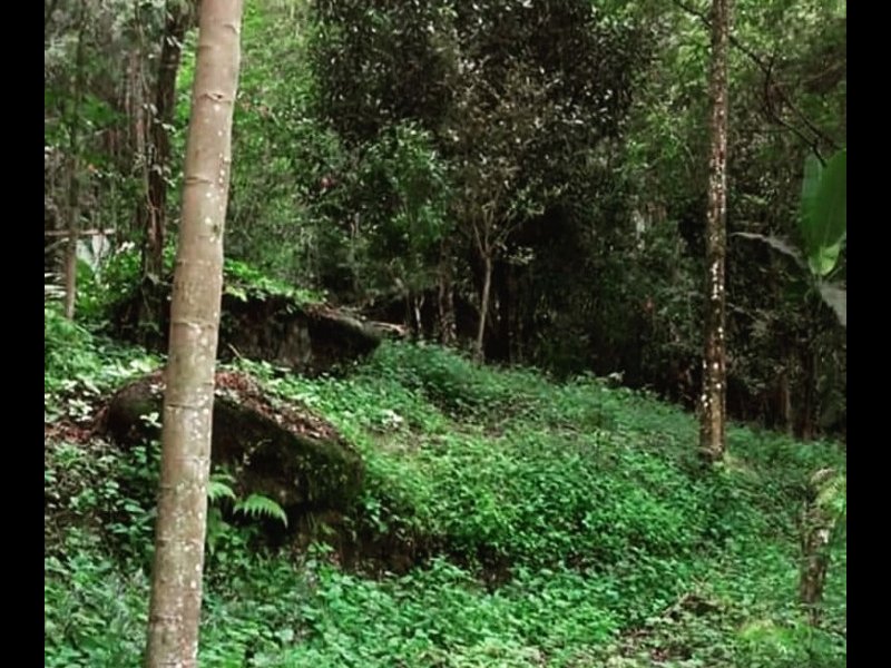 Sítio à venda Gambôa do Belém (Cunhambebe) com 33000m² e 1 quarto por R$ 150.000 - 155928827-img-20211011-wa0025.jpg