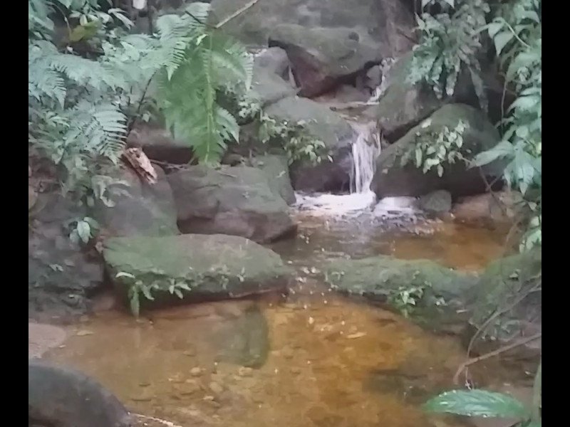 Sítio à venda Gambôa do Belém (Cunhambebe) com 33000m² e 1 quarto por R$ 150.000 - 1579778680-screenshot-20220727-145951.jpg