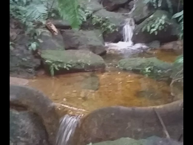 Sítio à venda Gambôa do Belém (Cunhambebe) com 33000m² e 1 quarto por R$ 150.000 - 472126829-screenshot-20220727-145944.jpg