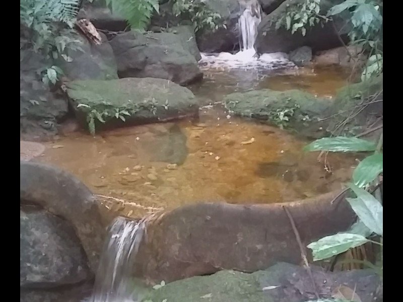 Sítio à venda Gambôa do Belém (Cunhambebe) com 33000m² e 1 quarto por R$ 150.000 - 494105462-screenshot-20220727-150001.jpg