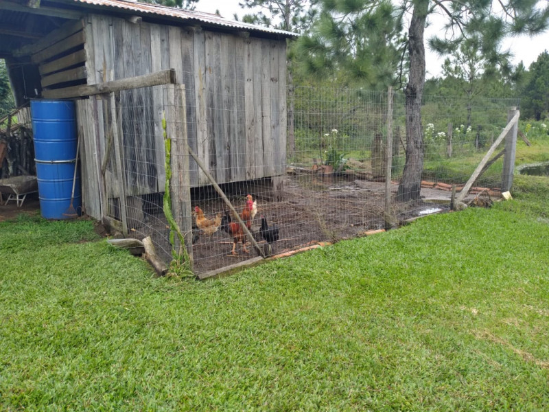 Chácara à venda Centro com 80m² e 3 quartos por R$ 110.000 - 348308512-foto11.jpeg