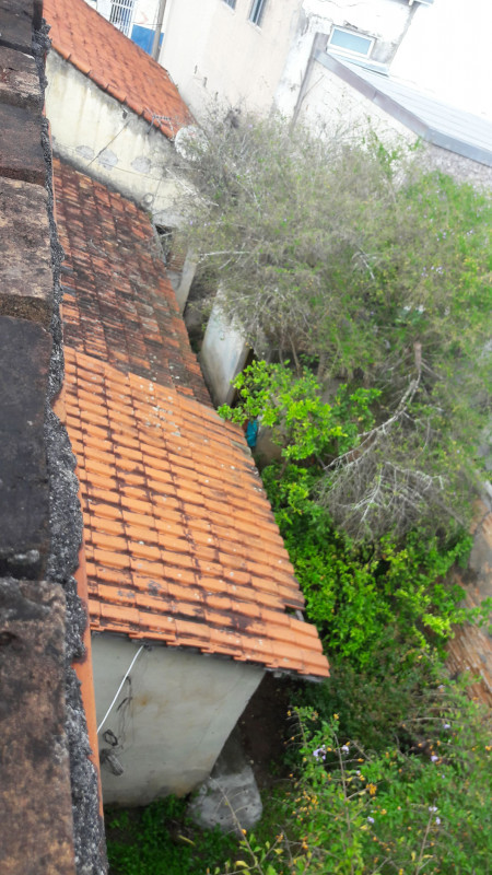 Terreno à venda Centro com 376m² e 1 quarto por R$ 3.200.000 - 1509267843-20220907-102811.jpg
