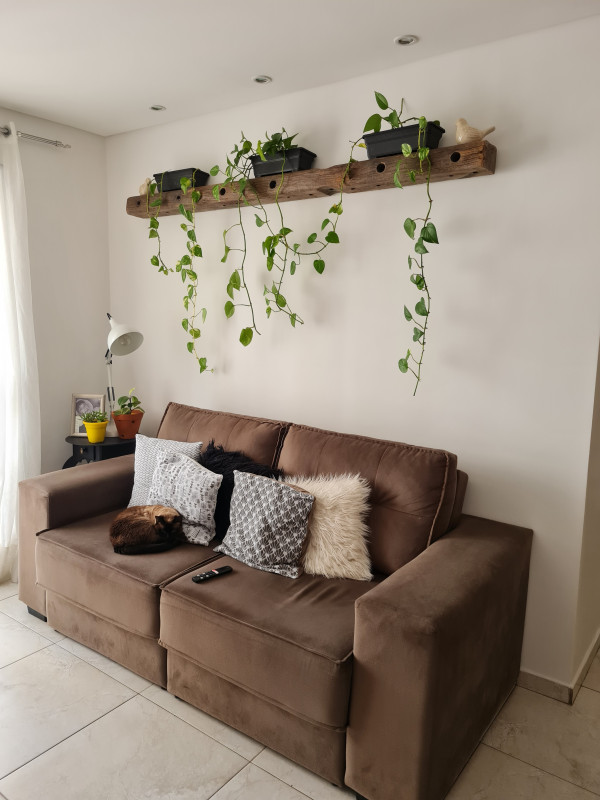 Apartamento à venda Vila Sônia do Taboão com 56m² e 2 quartos por R$ 315.000 - 860401334-inbound1832525124279884885.jpg