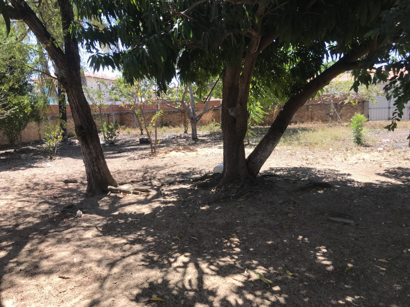 Terreno à venda Centro com 1200m² e 1 quarto por R$ 350.000 - 700925420-b03ddec5-f319-4e0d-a3fb-f2c01a39f8bd.jpeg