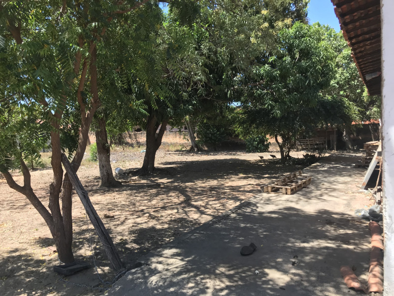Terreno à venda Centro com 1200m² e 1 quarto por R$ 350.000 - 920207616-800c3626-8dbe-4e9d-85e7-7dd91da484c4.jpeg