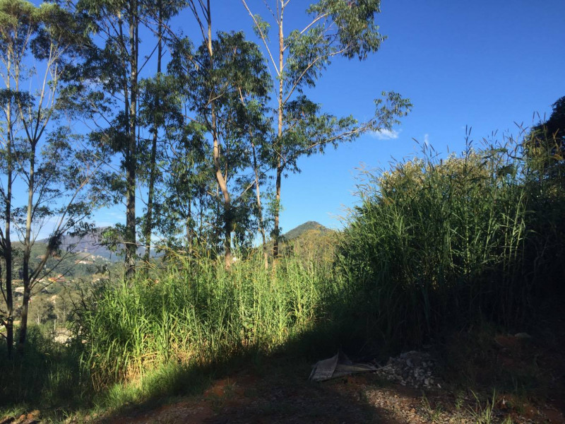 Terreno à venda Parque do Imbui com 6264m² e 1 quarto por R$ 900.000 - 1243070657-tere-010.jpg