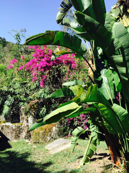 Terreno à venda Parque do Imbui com 6264m² e 1 quarto por R$ 900.000 - 1258813367-tere-007.jpg