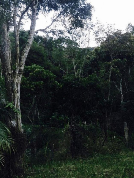 Terreno à venda Parque do Imbui com 6264m² e 1 quarto por R$ 900.000 - 1626341773-tere-008.jpeg