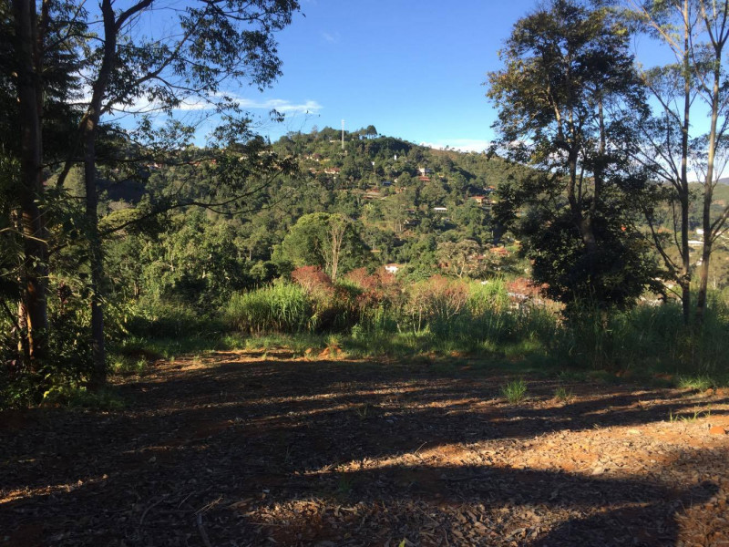 Terreno à venda Parque do Imbui com 6264m² e 1 quarto por R$ 900.000 - 388800741-tere-011.jpg