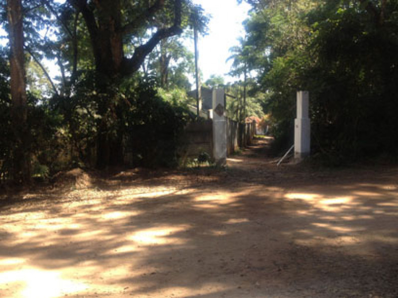 Sítio à venda itapetinga com 23270m² e 4 quartos por R$ 5.000.000 - 1059987218-foto-3.jpg